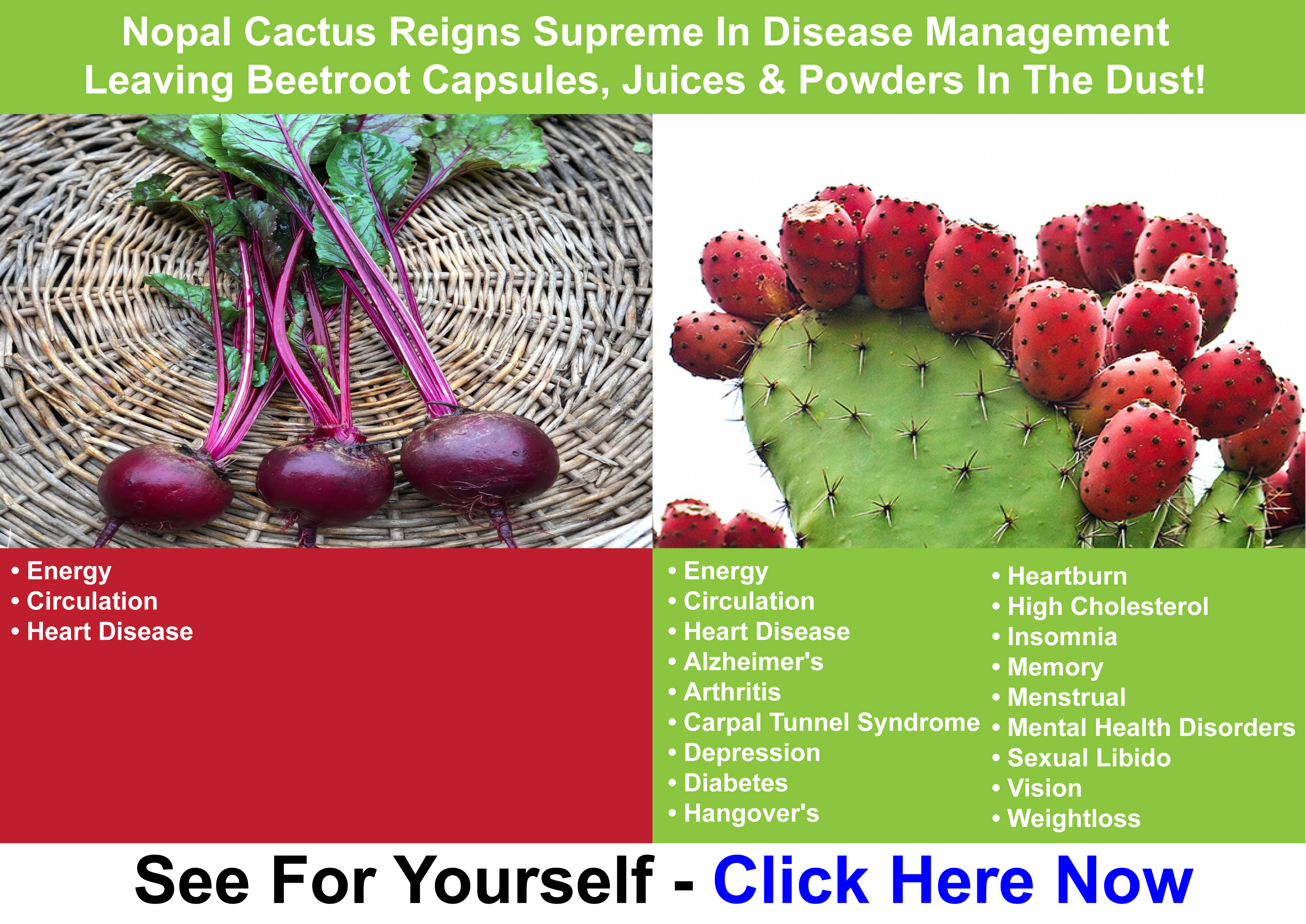 Nopal Cactus Reigns Supreme In Disease Management, Leaving Beetroot Products In The Dust! Nopal Cactus Reigns Supreme In Disease Management, Leaving Beetroot Products In The Dust!