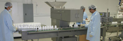 Freeze Dried Nopal Cactus (Prickly Pear) Labelling Machine Freeze Dried Nopal Cactus (Prickly Pear) Labelling Machine