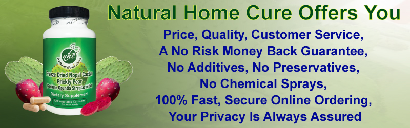 Nopal Powder Capsules - Your Trusted Source For Quality Products Nopal Powder Capsules - Your Trusted Source For Quality Products